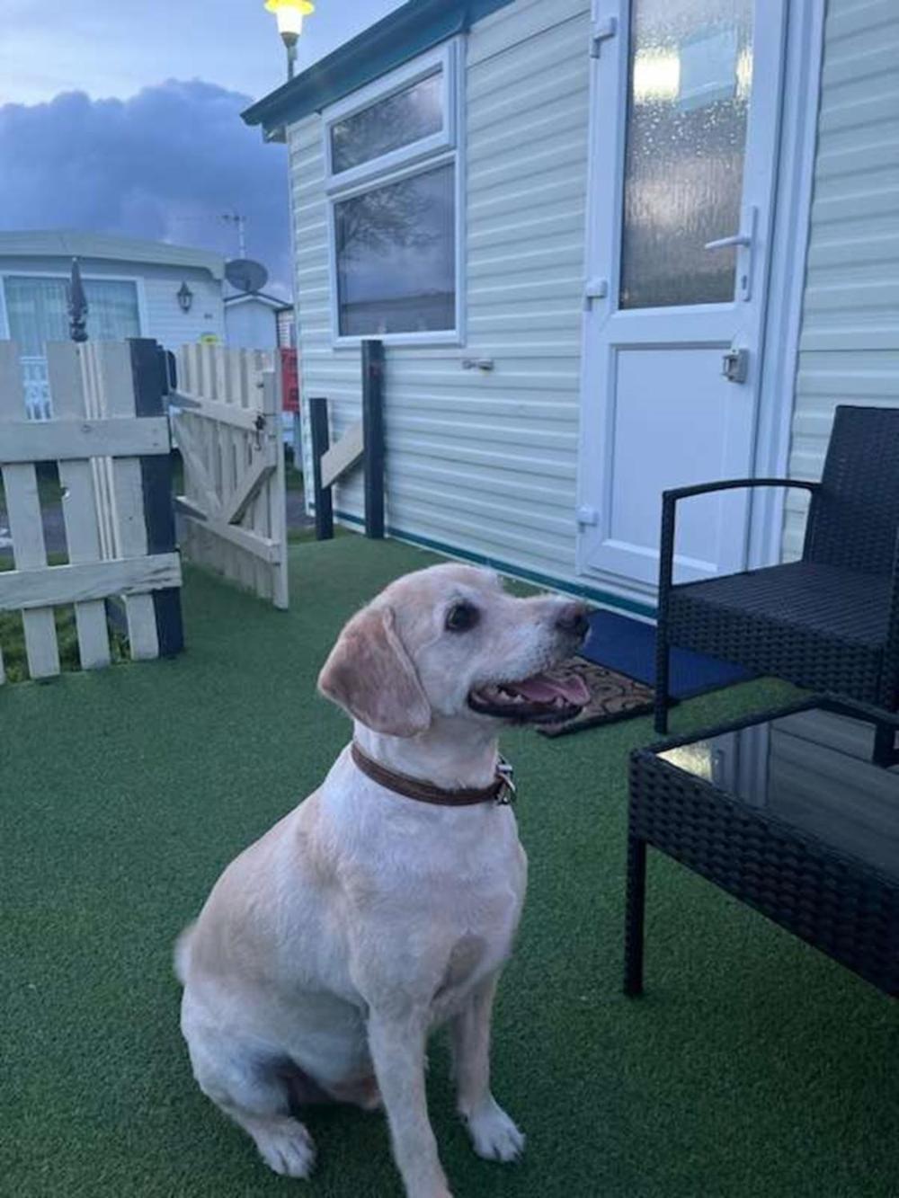 Sunnyside - Pet Friendly, Ingoldmells Hotel Екстериор снимка